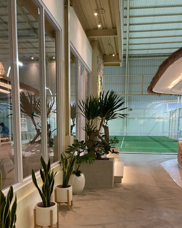 Plants along the corridor